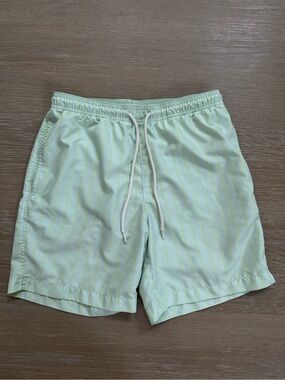 PACSUN men’s blue neon striped board swim shorts trunks size small